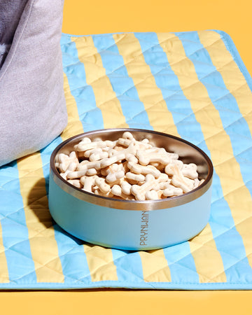 Tone on tone Stainless steel Bowl Baby Blue