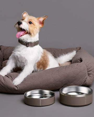 Tone on tone Stainless steel Bowl Taupe