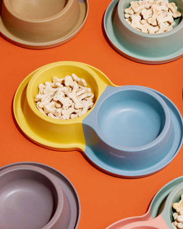 Two tone Double Bamboo Bowl Yellow Baby Blue