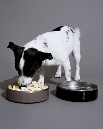 Tone on tone Stainless steel Bowl Nero