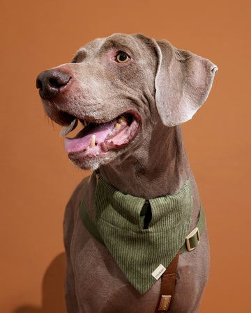 Triangle Bandana Olive Green
