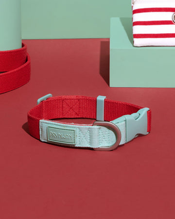 Two Tone Quick Release Collar Red Mint