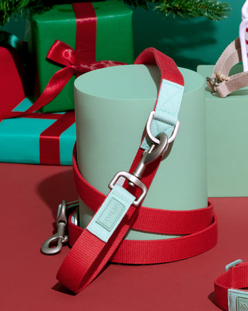 Two tone Adjustable Leash Red Mint