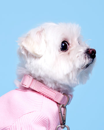 Tone On Tone Quick Release Collar Rosa