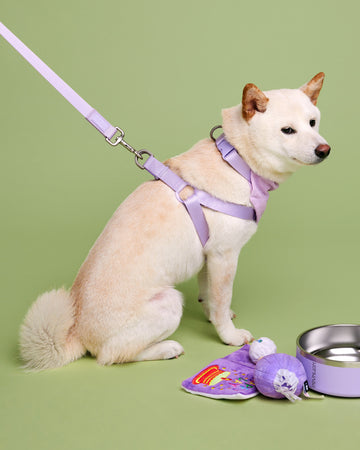 Tone on tone Step-in Harness Viola