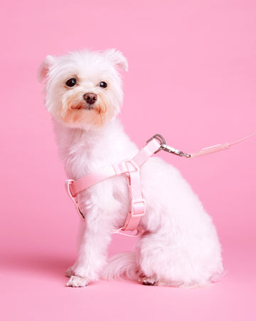 Tone on tone Step-in Harness Rosa