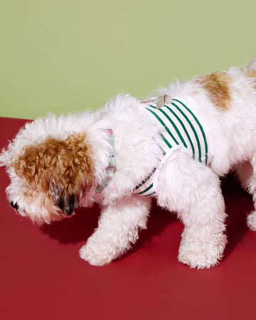 X'Mas Step-In Vest White Green