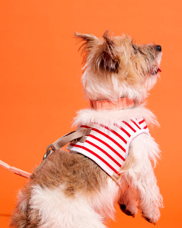 X'Mas Step-In Vest White Red