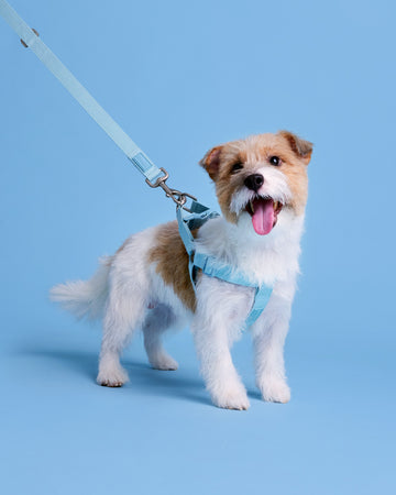 Tone on tone Step-in Harness Baby Blue