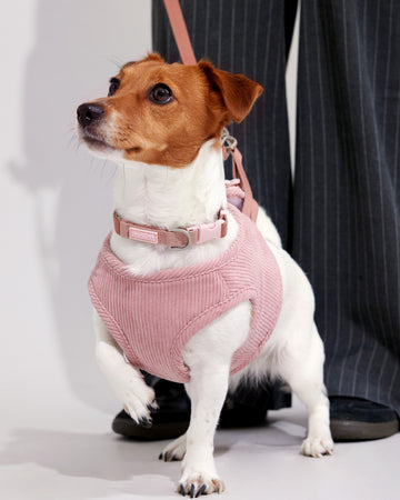 Step-In Vest Pink