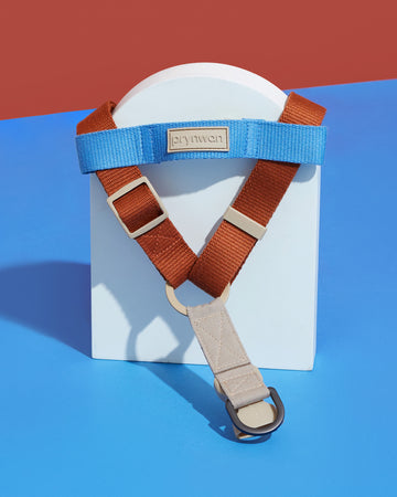 Step-in Harness Orange