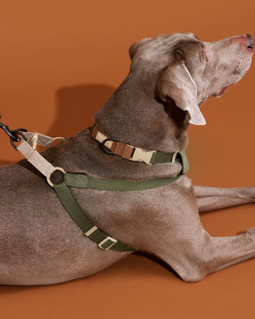 Step-in Harness Olive Green