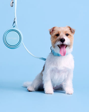 Tone on tone Adjustable Leash Baby Blue