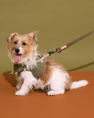 Adjustable Leash Olive Green