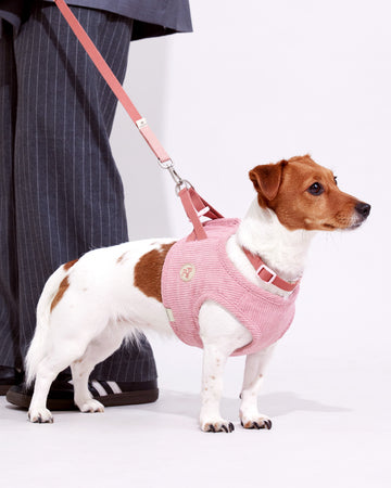 Adjustable Leash Pink