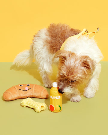 Chew Toys Bone Yellow