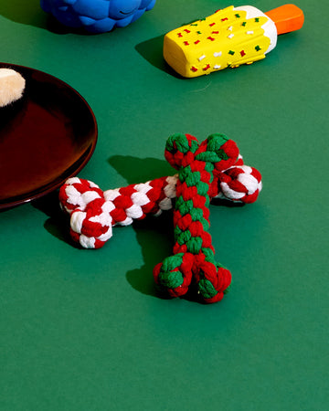 Chew Toys Bone Green Red