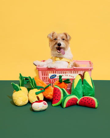 Tutti Fruity