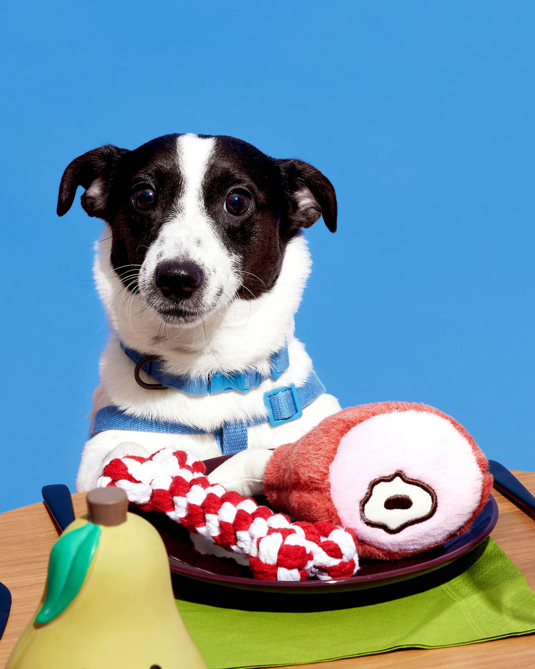Plush Toys Ham