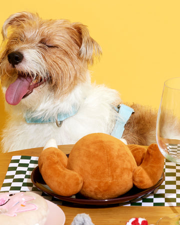 Plush Toys My Chicken