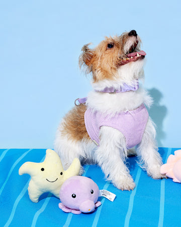 Plush Toys Octopus