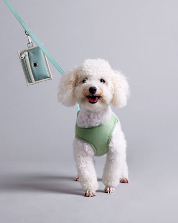 Poop Bag Holder Mint