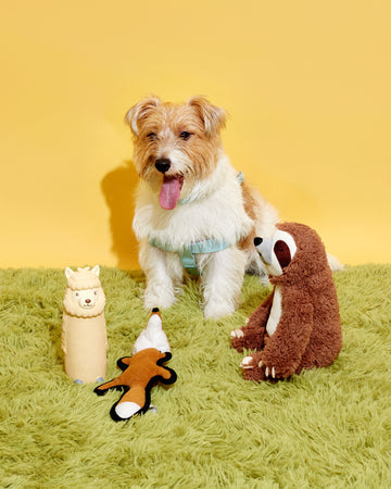 Jungle Pals 01