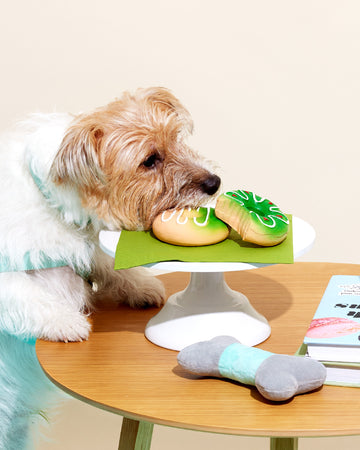 Squeak Toys Donut Matcha Green