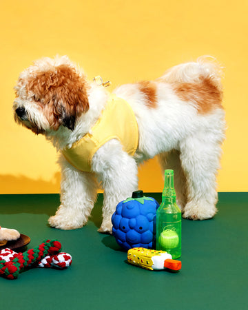 Puzzle Toy Bottle Green