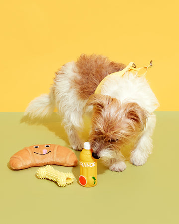 Squeak Toys Orange Juice