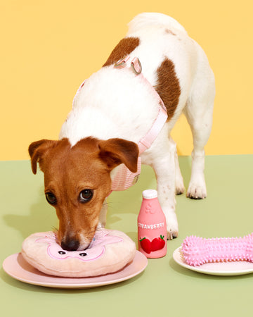 Squeak Toys Strawberry Juice
