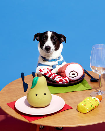 Chew Toys Bone Red White