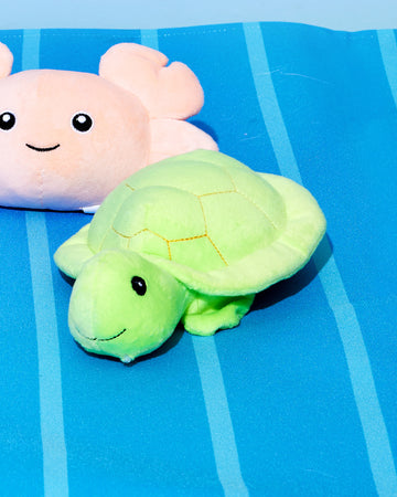 Plush Toys Turtle