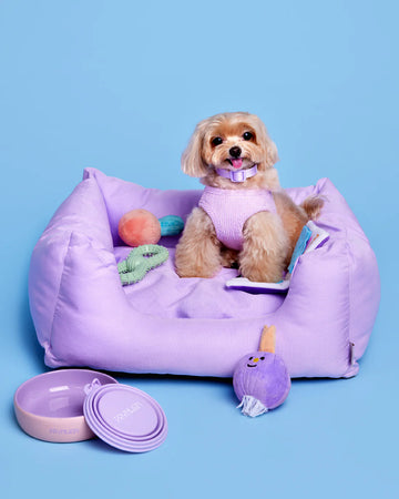 Square Mattress Bed Viola