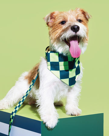 Prynometry Triangle Bandanas Fresh Duo Green