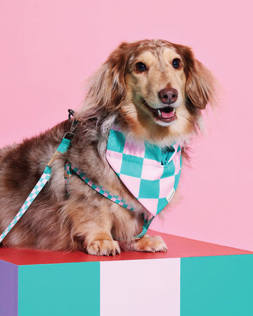 Prynometry Triangle Bandanas Rosie Pop Green