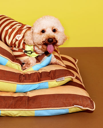 Prynometry Cushion Style Bed Brown