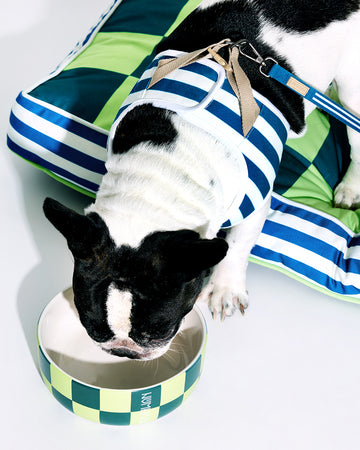 Prynometry Ceramic Bowl Fresh Duo Green