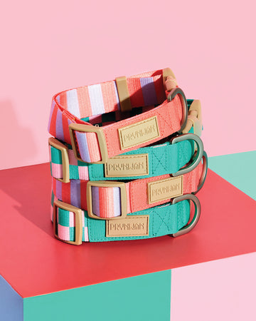 Prynometry Quick Release Collar Rosie Pop Green