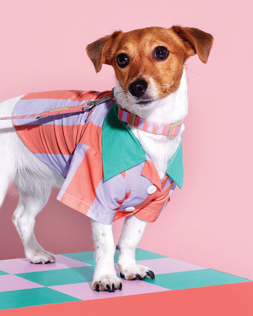 Prynometry Quick Release Collar Rosie Pop Purple