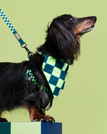 Prynometry Step-In Harness Fresh Duo Green