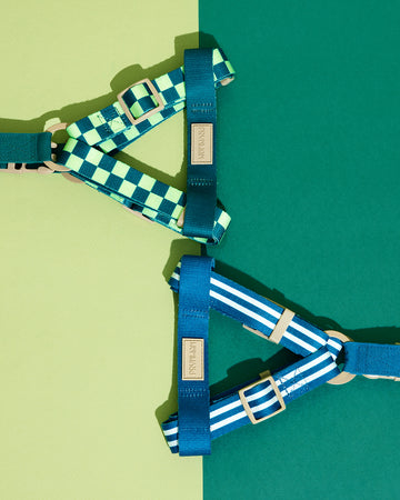 Prynometry Step-In Harness Fresh Duo Blue