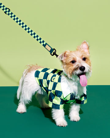 Prynometry Adjustable Leash Fresh Duo Green
