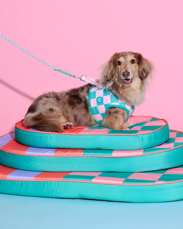 Prynometry Adjustable Leash Rosie Pop Green
