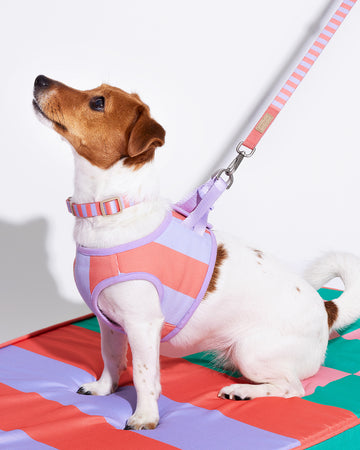 Prynometry Adjustable Leash Rosie Pop Purple