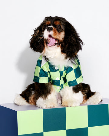 Prynometry Hawaii Shirt Fresh Duo Green