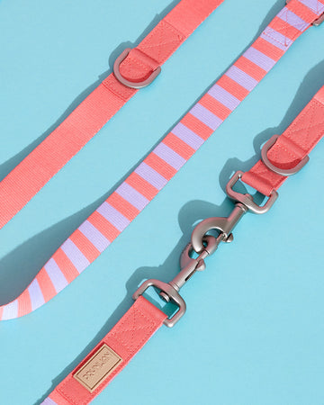 Prynometry Short Leash Rosie Pop