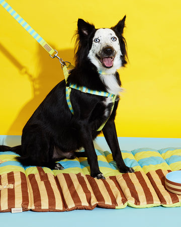 Prynometry Travel Mat Sandy Glow