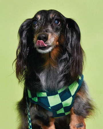 Prynometry Step-In Vest Fresh Duo Green