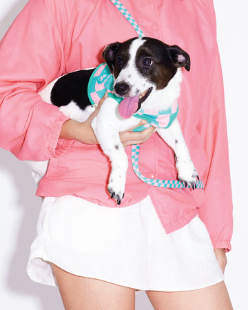 Prynometry Step-In Vest Rosie Pop Green